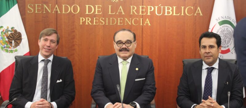 QUEREMOS  ATERRIZAR ESTE PROYECTO EN YUCATÁN: JCRM
