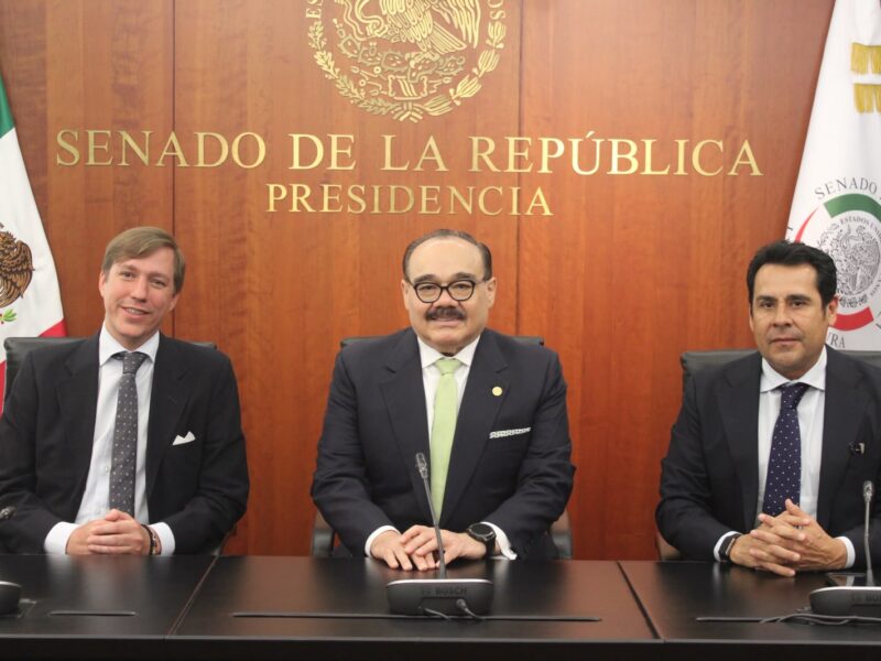 QUEREMOS  ATERRIZAR ESTE PROYECTO EN YUCATÁN: JCRM