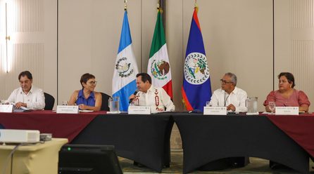 LA GRAN SELVA MAYA NO RECONOCE FRONTERAS: JDM