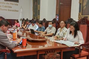 PIDEN COMPARECENCIA DE FUNCIONARIOS