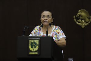 DIPUTADA PIDE EFICACIA CONTRA EL DELITO