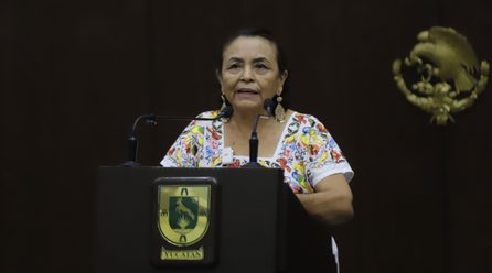 DIPUTADA PIDE EFICACIA CONTRA EL DELITO