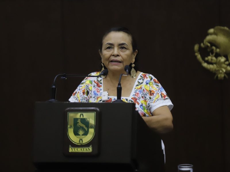 DIPUTADA PIDE EFICACIA CONTRA EL DELITO
