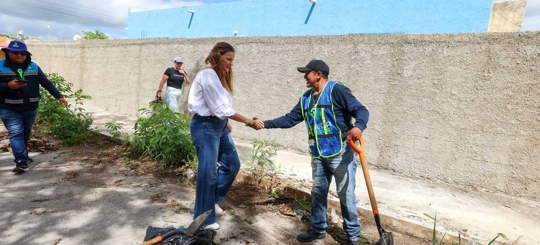CALLE POR CALLE, BACHE POR BACHE