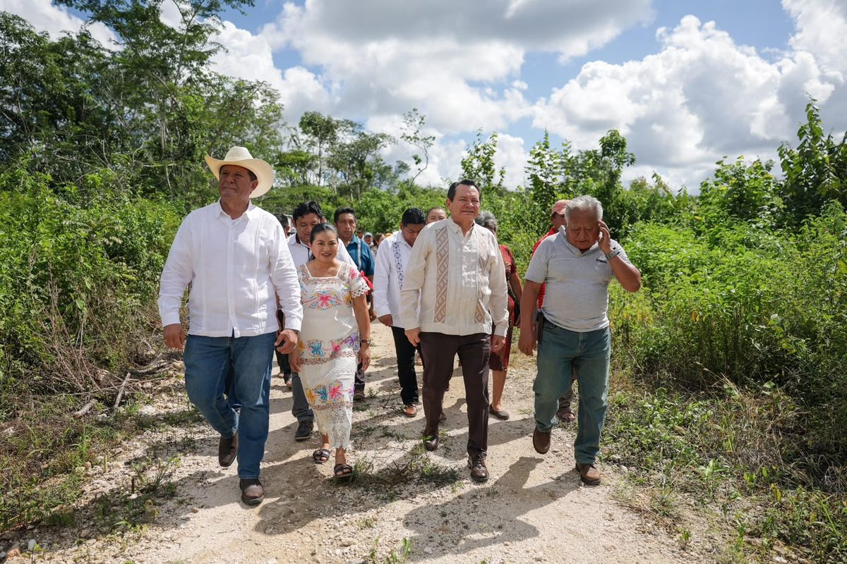 MÁS CAMINOS SACA COSECHA