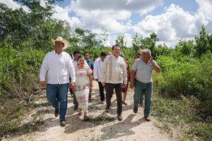 MÁS CAMINOS SACA COSECHA