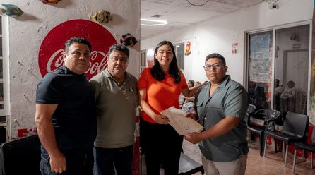 MC PIDE DIAGNÓSTICO  A CFE