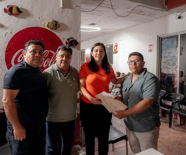 MC PIDE DIAGNÓSTICO  A CFE