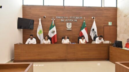 TSJE MODIFICÓ EL TÉRMINO DE PRUEBA